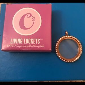Origami Owl magnetic living locket